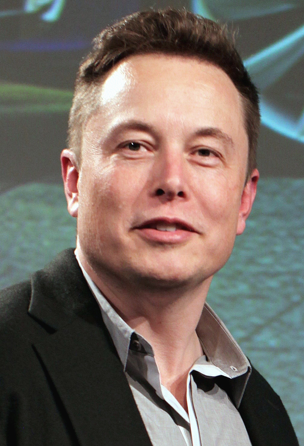 Elon Musk, Tesla annual shareholder meeting, 2015